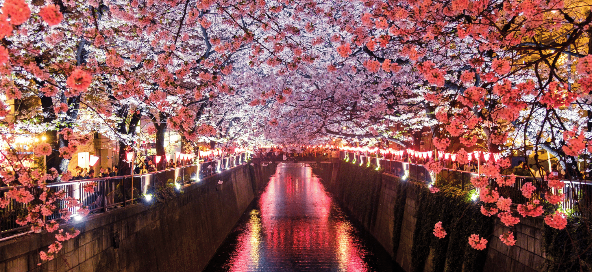 case studies ogarnij japonski background scaled